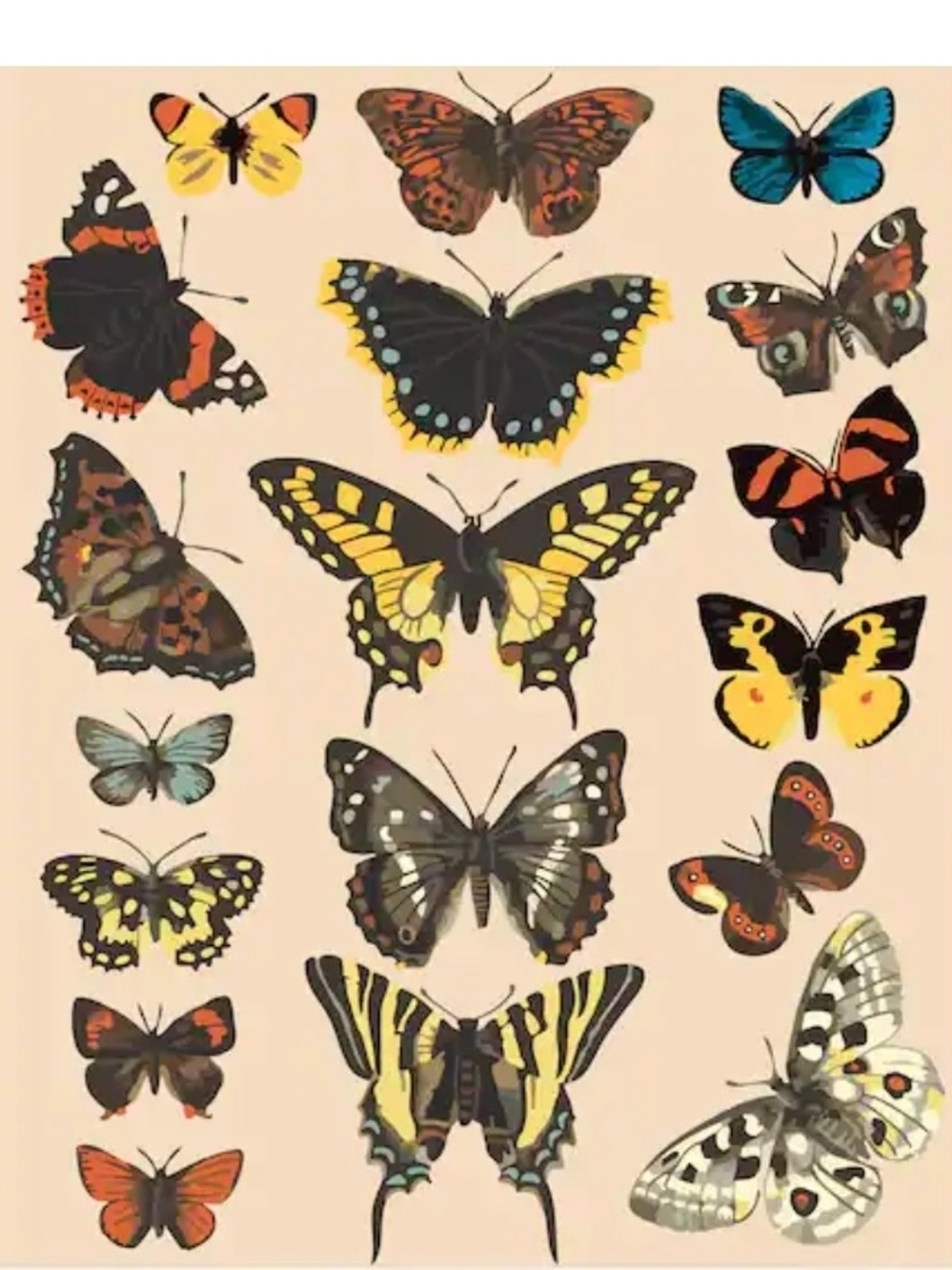 Paint-by-number Butterfly Wall Art Print 16 X 21.5